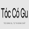 toccogu com