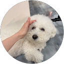 장선희のプロフィール画像