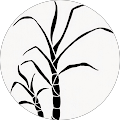 Sustainable Island Products - Hilo, Hawaii