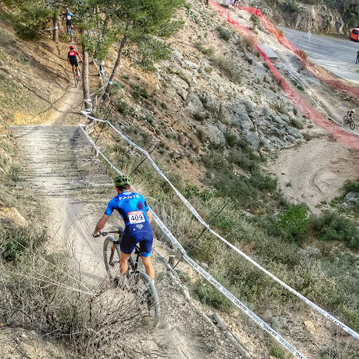 Vicente Roig