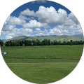 Andrews Dr Nicole General Surgeon - The Range, Queensland