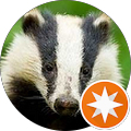 Avis de Badger. avec une note de 5 sur 5