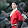 Justin Ma's profile photo