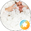 Austin Graff profile photo