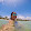 Merielle Arruda's profile photo