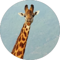 Avatar de Frederique.a