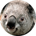 Avatar de Charles.e