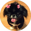 El Centro Pet Medical Center, A Thrive Pet Healthcare Partner - Killeen, Texas
