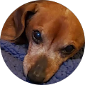 Community member