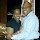 DrenDebyoung Young's profile photo