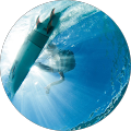 Avatar de Frédéric.e