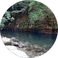 Avatar de Lau.