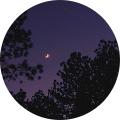 Avatar de Océane.