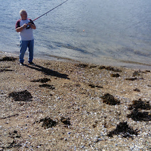 johncurley31@gmail.com