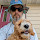 Alan Mask's profile photo