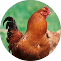 APP Informática Lugo (Ciudad Norte) - Lugo