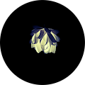 Avatar de Sullyvan.o