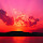 Jisha M.J's profile photo