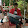 martin nguyen's profile photo
