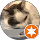 Marina Besler profile picture