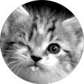 Avatar de Tiffany.a
