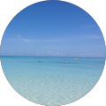 Programmeur Web Cédric Paquet - 
