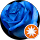Patrizia Gramigna profile picture