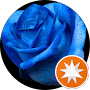 Google Maps profile picture of Patrizia Gramigna
