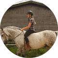 Westerntrainingstable - Golßen
