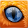 Matheus Mello's profile photo