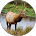James Sinclair comment image