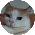 Avatar de Simon.