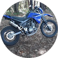 Avatar de Franck.e