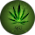 Joshua Healey profile picture
