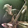Sergio Quintero's profile photo
