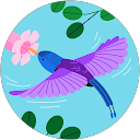 sue kilpatrick Avatar