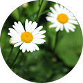 Ritmo Zeitarbeitsagentur GmbH - Vogtei