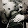 dian ridho's profile photo