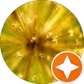 Wildly Cultivated Floral Design - Wedding & Event Florist - 