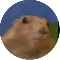 reviewer image