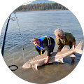 User profile - Larry Tober.