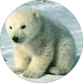 Avatar de Isabelle.a