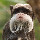 mailman1175's profile photo