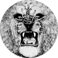 Avatar de Andrei.u