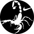 Avatar de tyboss.r