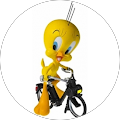 Avatar de Cédric.a