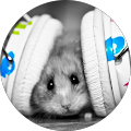 Avatar de Naintrax.9