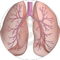 Avis de pneumologie.h avec une note de 2 sur 5