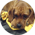 User profile - robert hill.