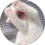 h h